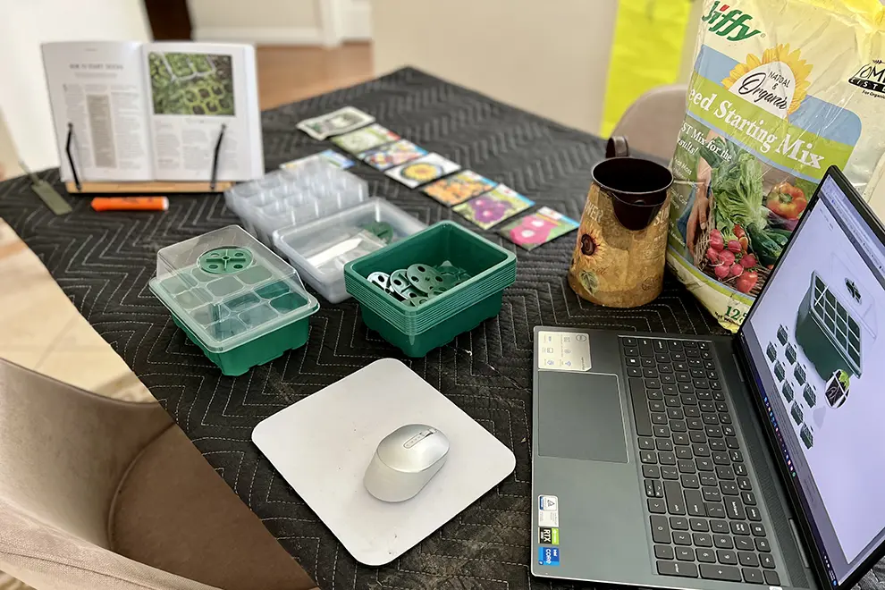 Step by step guide to seeding